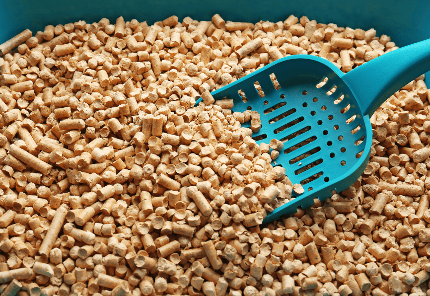 eco friendly cat litter